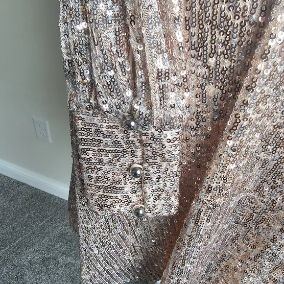 Elegant Sequin V-Neck Dress - Picture 2 of 2